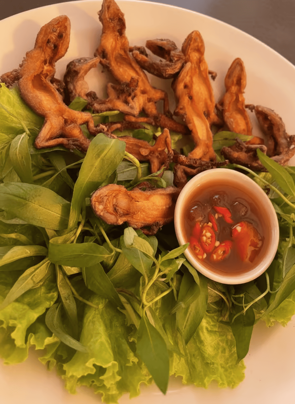 Thằn lằn núi Bà Đen